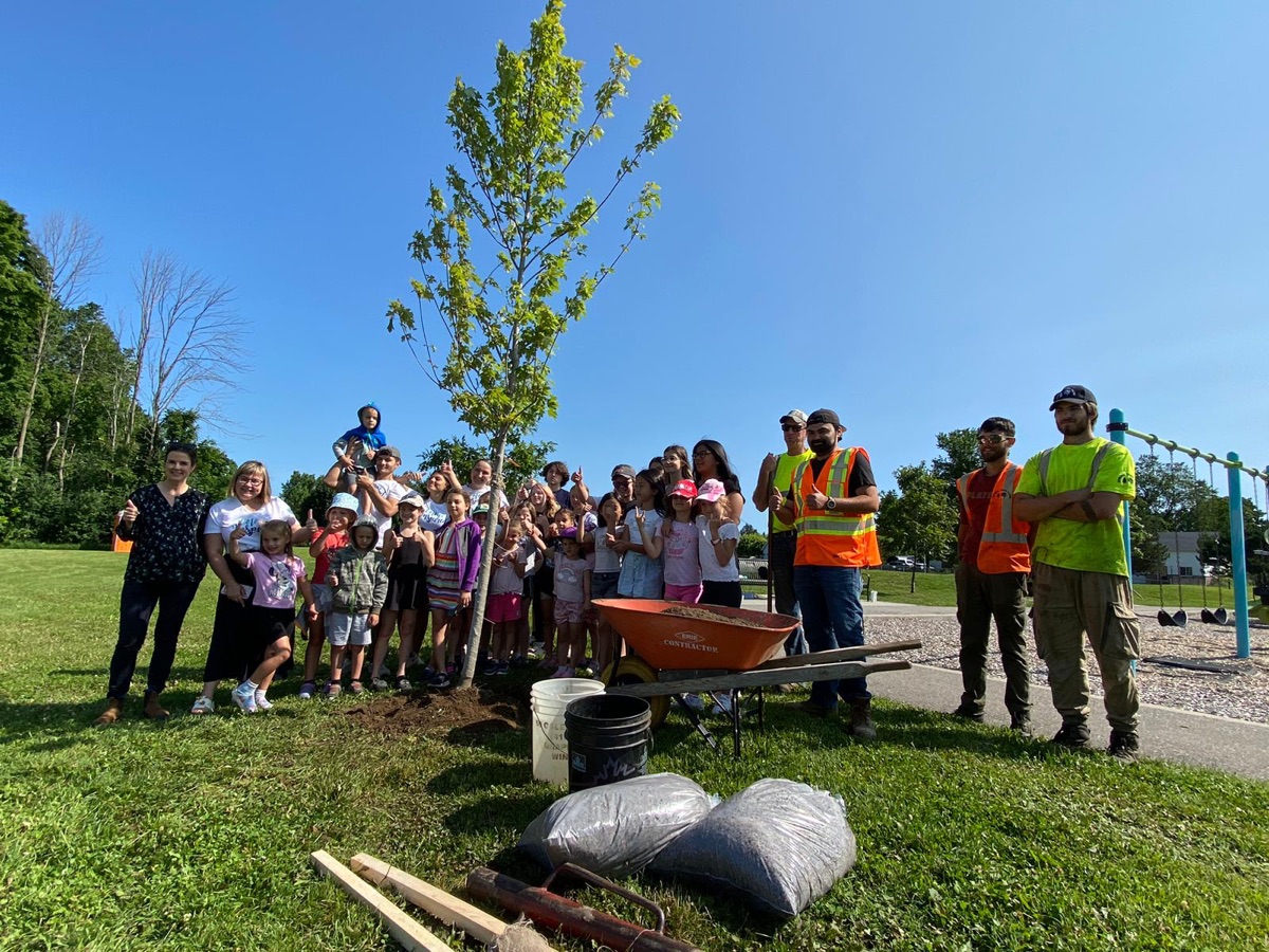 Stroud tree planting
